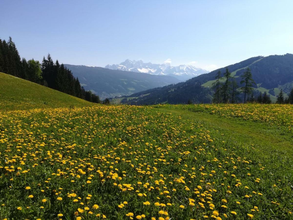 Philips * Flachau